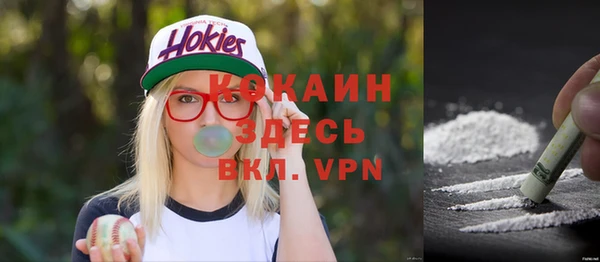 бошки Надым