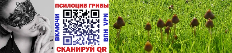 Галлюциногенные грибы Magic Shrooms  как найти наркотики  Задонск 